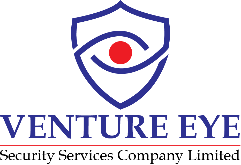 Venture Eye Logo